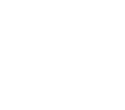 امارة منطقة المدينة المنورة